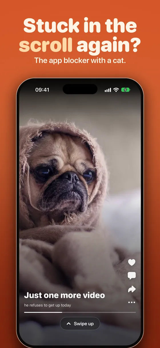Pawwall: stuck in the scroll again? The app blocker with a cat